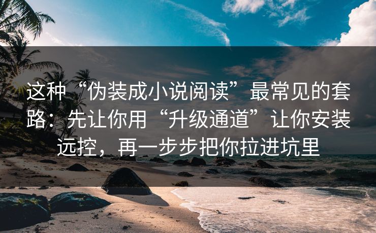 这种“伪装成小说阅读”最常见的套路：先让你用“升级通道”让你安装远控，再一步步把你拉进坑里