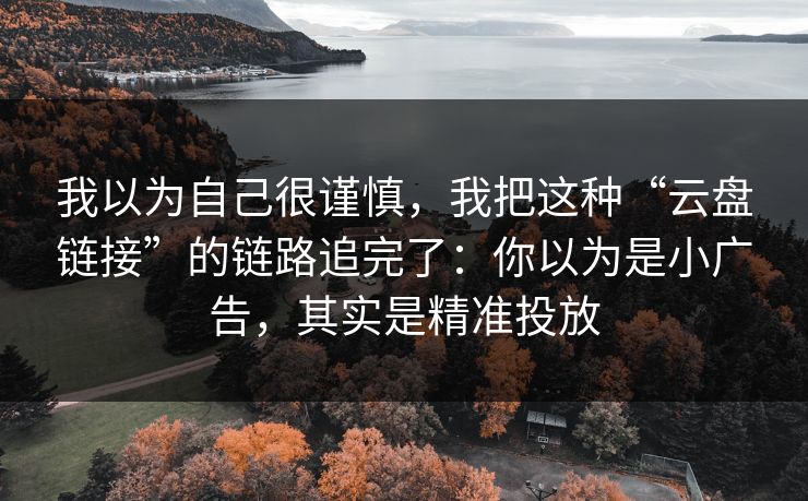 我以为自己很谨慎，我把这种“云盘链接”的链路追完了：你以为是小广告，其实是精准投放