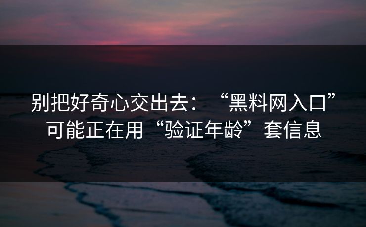别把好奇心交出去：“黑料网入口”可能正在用“验证年龄”套信息