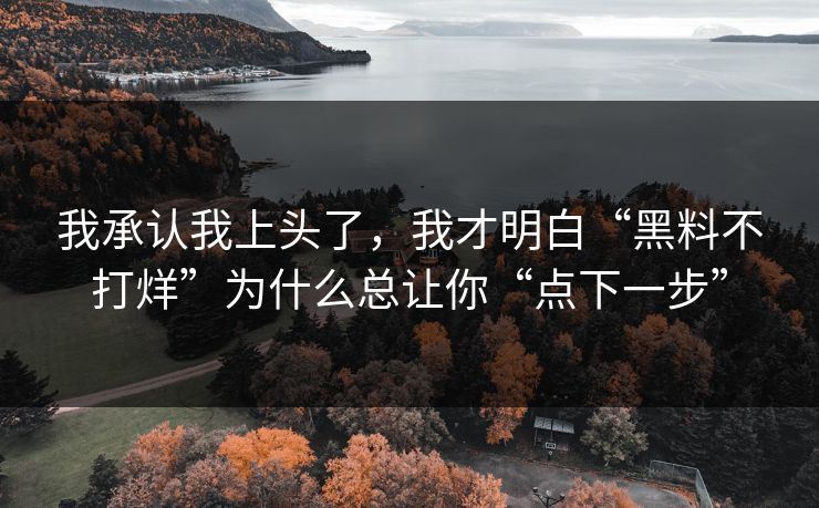 我承认我上头了，我才明白“黑料不打烊”为什么总让你“点下一步”