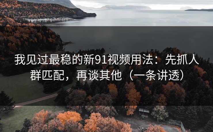 我见过最稳的新91视频用法：先抓人群匹配，再谈其他（一条讲透）
